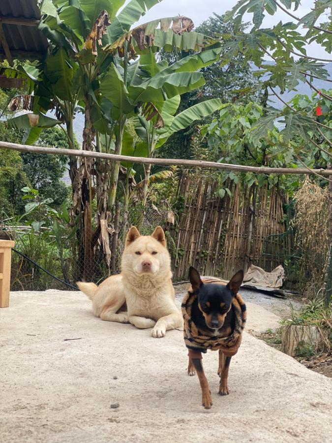 Homie House Thien Huong - Traditional Home ส่งวัน ภายนอก รูปภาพ